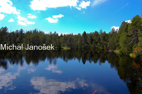 Mossy lake