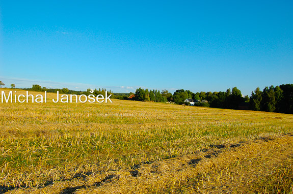 Late summer countryside